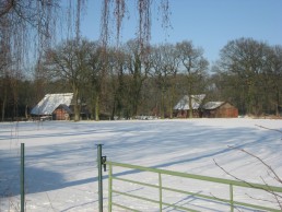 Beckedorf im Winter